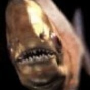 the thunder child profile image