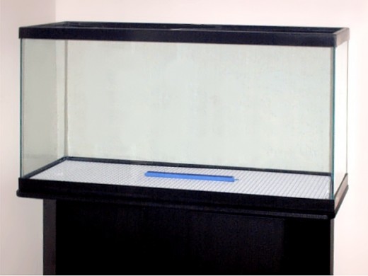 Aquarium ready to be filled and cycled