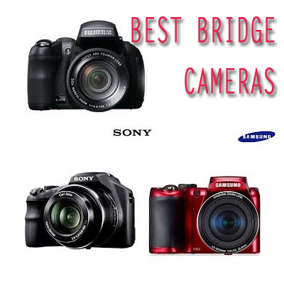 Which Bridge Camera will you buy?