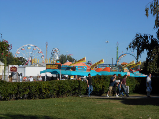 Just a portion of the Midway as seen from the lawn of one of the state buildings.