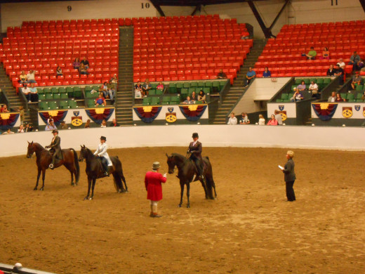Judging during the horse show in the main arena.