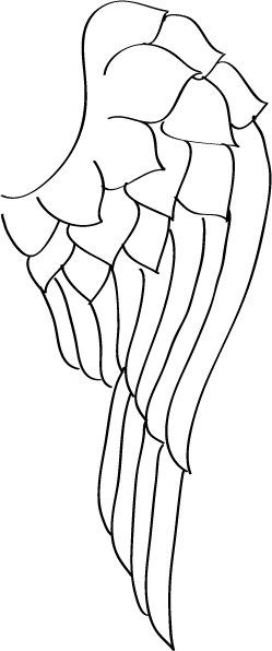 Wing Design - Top layer consists of small fluffy feathers, second row consists of long thin feathers, third row consists of a few more extra long thin feathers