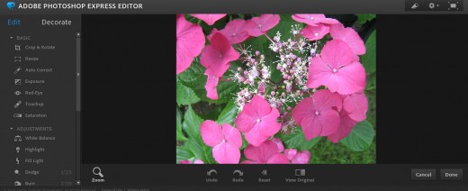 adobe photoshop express online