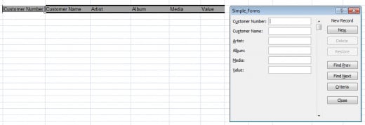 Example of a blank form created using Excel 2007 and Excel 2010.