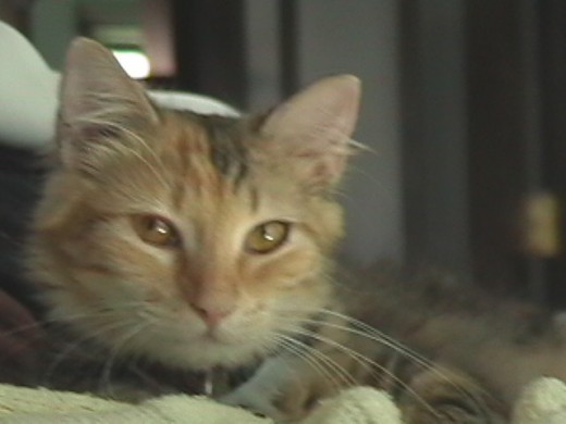 She depends on me.