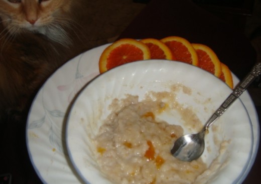 She climbs up to sniff my breakfast.