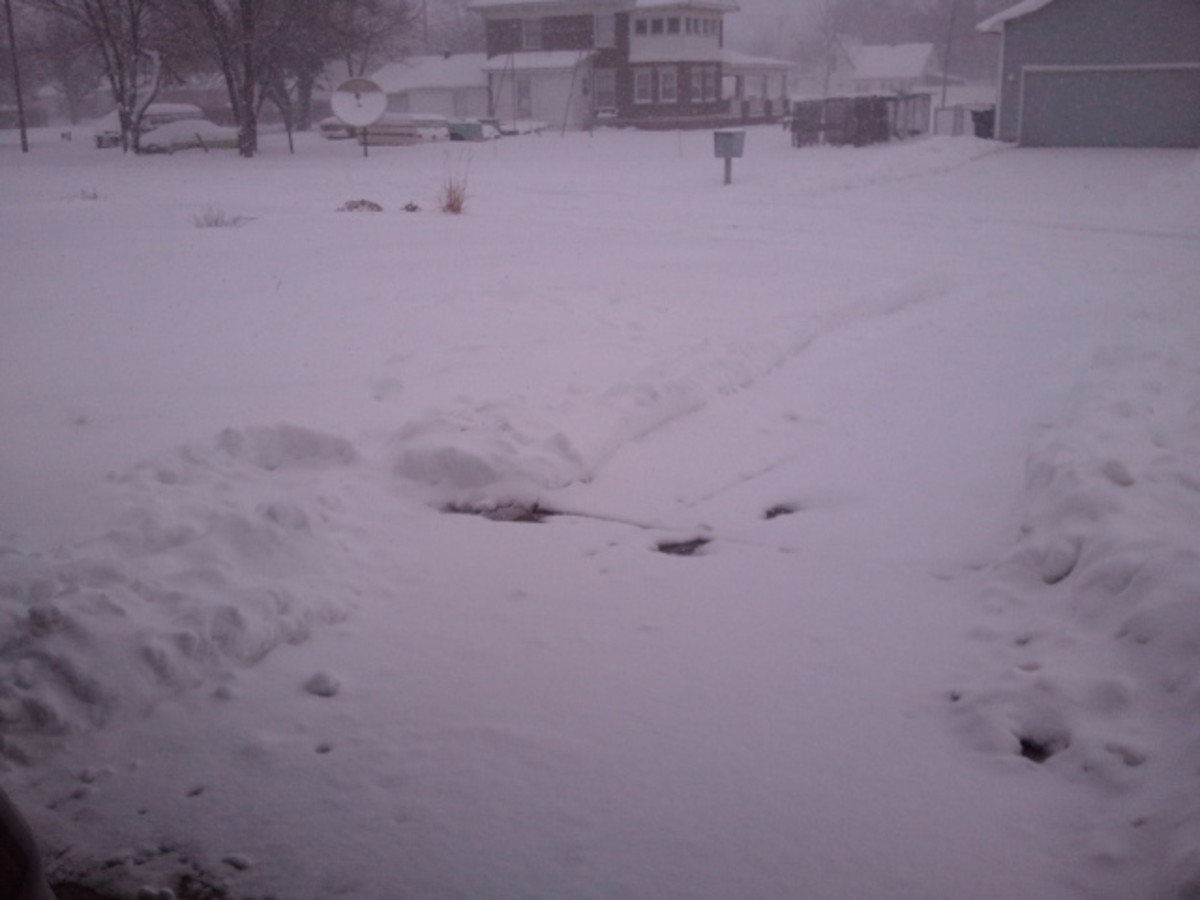 starting snowing again after we shoveled the drive...again. lol! wichita, ks 2/21/2013