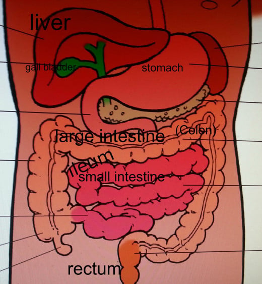 How to Reduce Inflammation Caused by Crohn's Disease | HubPages