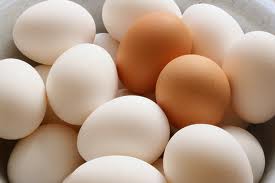 Chicken Egg Identification Chart