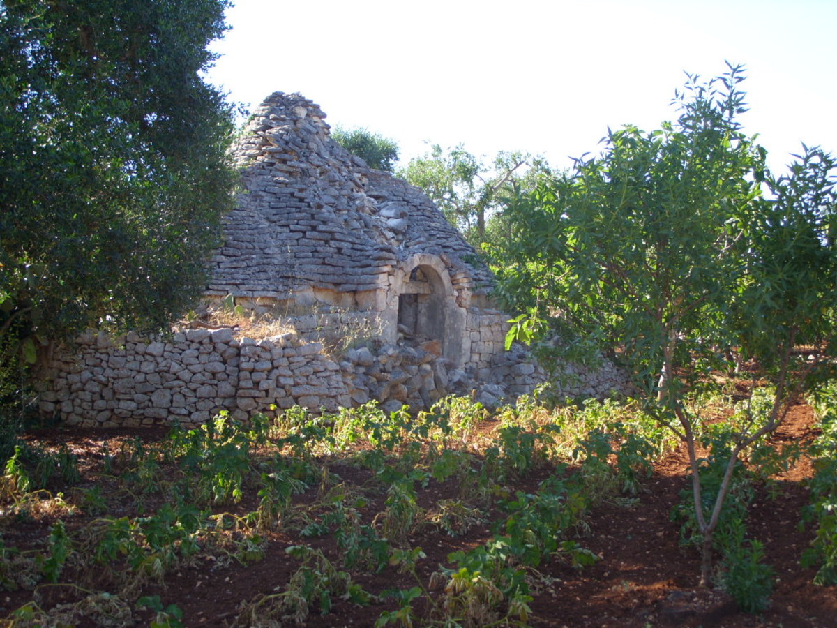 Trullo are unique to the region of puglia—this is an old original style trullo next to our property.