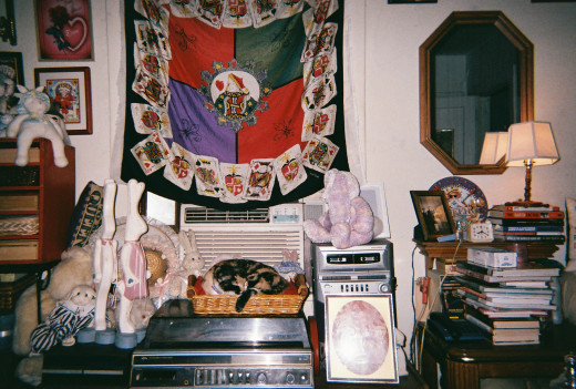 South wall, same as the first photo, showing Queen of Hearts scarf gracing the window, some bunnies and my cat, Moni, in the basket.