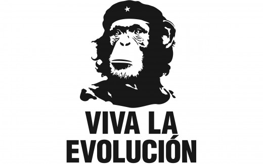 Che the Chimp.