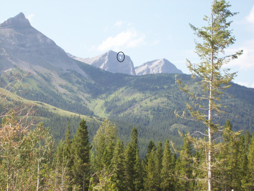 Window Mountain