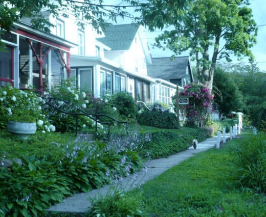 These are some of the houses in Lilydale. The brown and white sign is for the medium Kitty Osborne. One of the neighborhood's many felines is seen trotting down the sidewalk, and later went exploring in Kitty's yard. Photo taken in 2009.