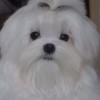 Clarisa profile image