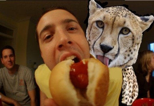 One annoying Cheetah licking my hot dog bun