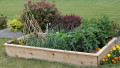 Materials You Need for Gardening