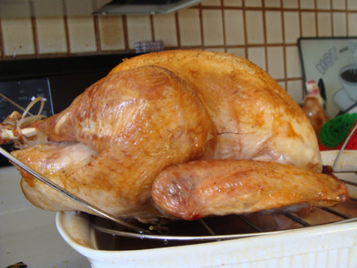 This bird going to turn into turkey pot pie, turkey tetrazzini, turkey sandwiches, and even some turkey dog treats.