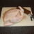 A cleaver is the best tool for removing the backbone from a chicken