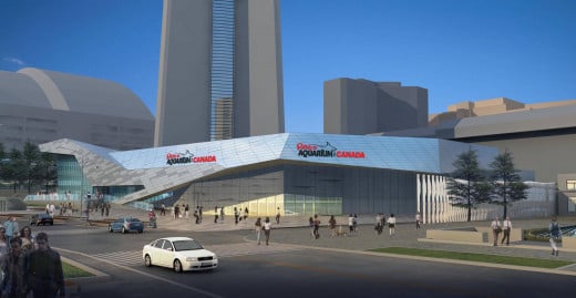 An artist's depiction of the Ripley's Aquarium of Canada building, scheduled to open in Toronto in October of 2013.