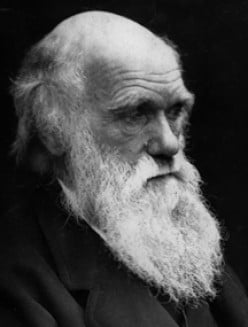 Biography of Naturalist Charles Darwin