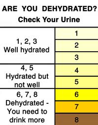 This chart shows how to check to see if your urine is too saturated or not.  The clearer it is, the better.