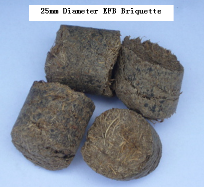 25mm EFB Briquette