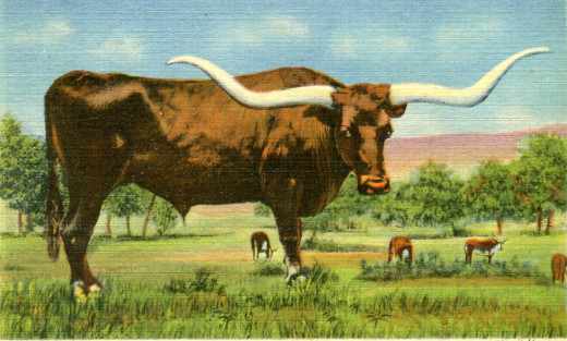 Curteich Linen Postcard