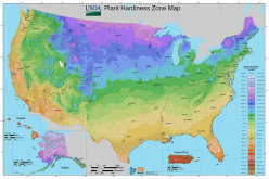 How to Use the New Online USDA Hardiness Zone Map