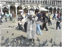 St Mark's Square dodging pigeons