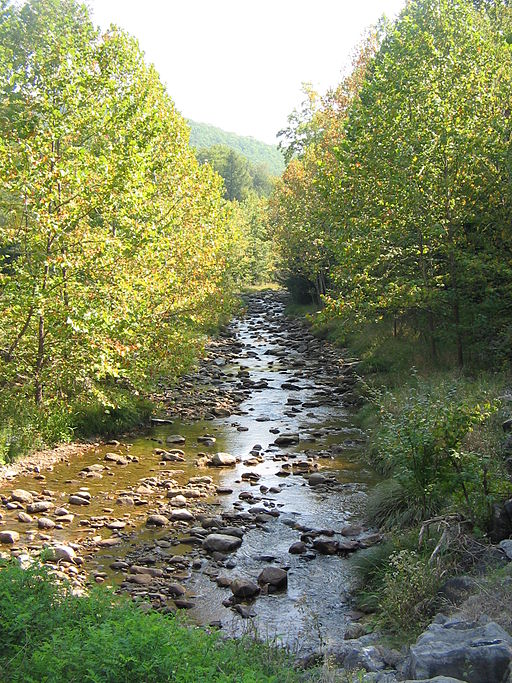 Dismal Creek was similar to the creek in this picture