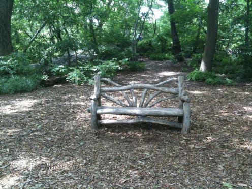 A bench in Central Park
