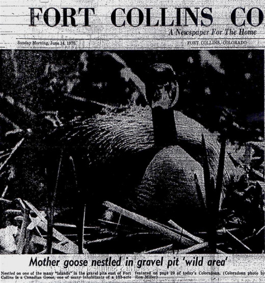 Scans of the article published on the front page of the Sunday, June 14, 1970 Coloradoan. Thanks to Yvonne Keefe and the ladies of the Fort Collins Museum and Library for searching the microfilms and printing the copies.