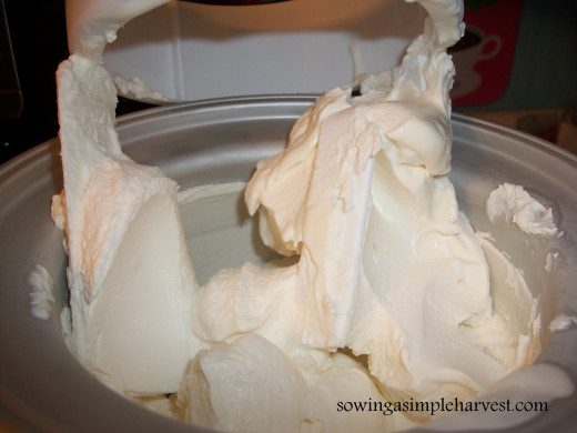 The Cuisinart makes a creamy soft serve that your family will enjoy in 20 short minutes. 