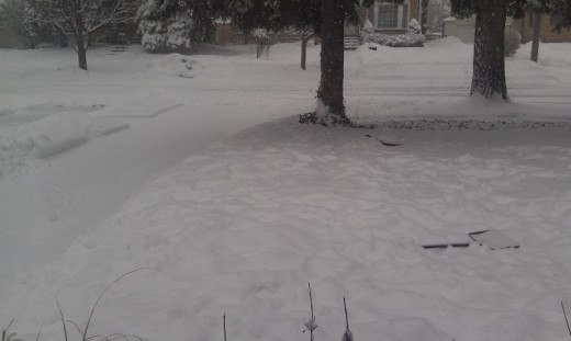 Only 11 inches today 
