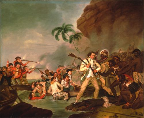 Captain Cook's Arrival on the Hawaiian Islands