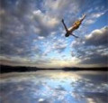 Uniformly Accelerated Motion