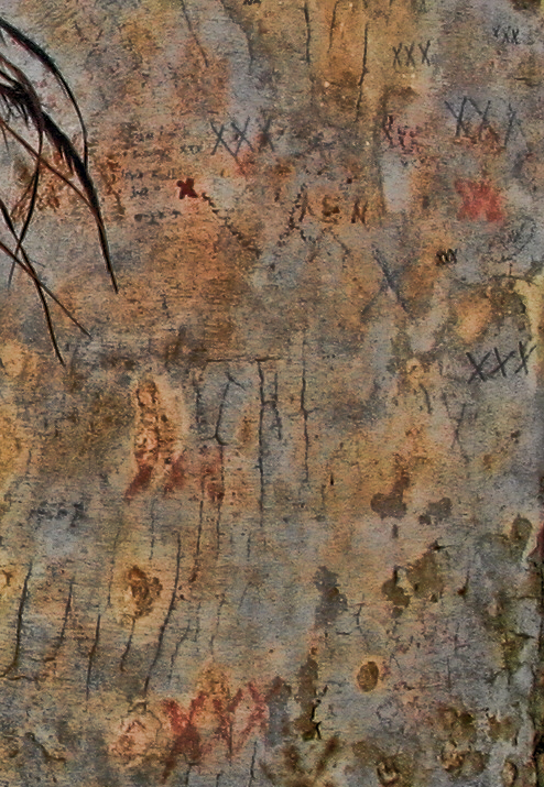 Color adjusted to show the marks and destruction.