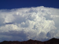 Is cloud computing the future for business?