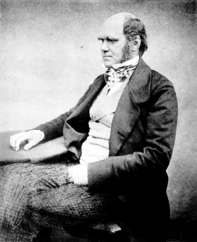 A photograph of Charles Darwin aged 51. He was the first person to bring evolution by natural selection to the public's attention.  