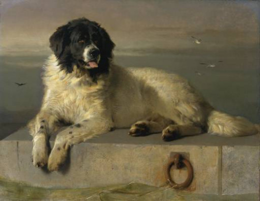 Dog Paintings: The Story Behind The Famous Pieces | hubpages