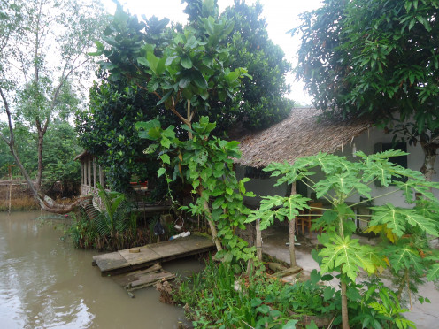 My Mekong Delta Home-stay