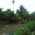 Mekong Delta pictures: Locals fishing