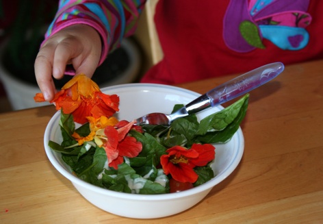 Have a bowl of edible flowers, it's delicious.