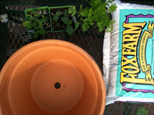 A container, soil and seedlings and/or seeds is all you need!
