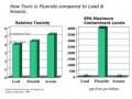 Effects of Fluoride in Public Water