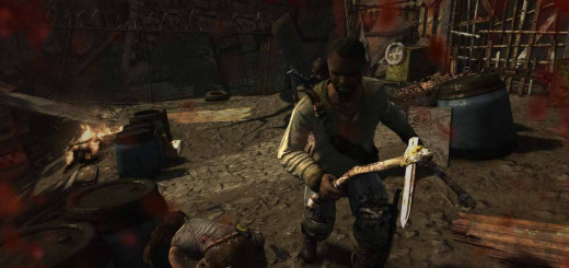 Tomb Raider dodge the attacks of the enemies and find a way through the gate