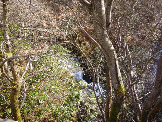 Ponterwyd.