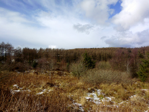 Ponterwyd.