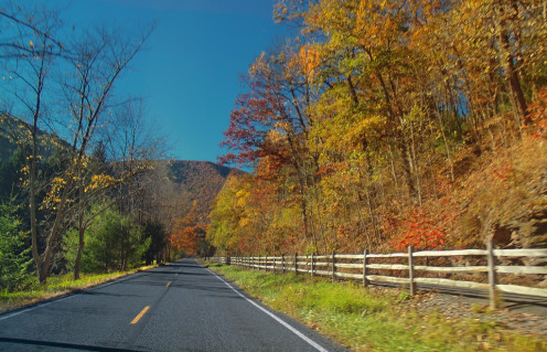 A quiet Pennsylvania road allows for reflection. This is route 414 north of Cammal, Lycoming County.  To the right, fenced off from the road, is the Pine Creek Rail-Trail.